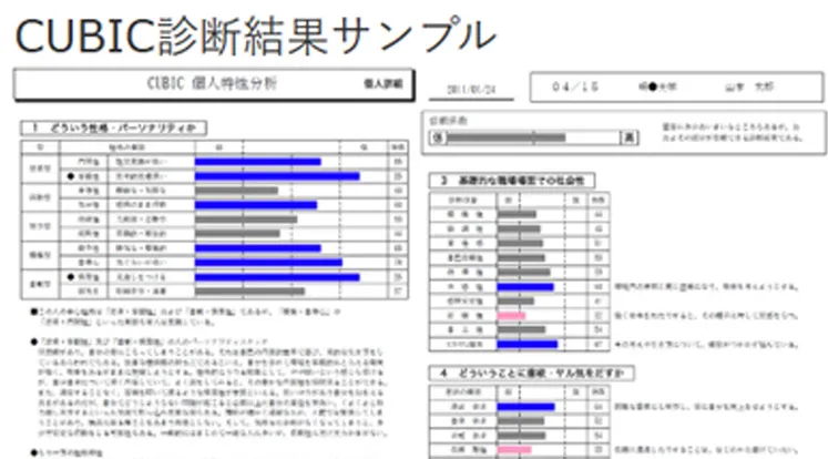 CUBIC診断結果